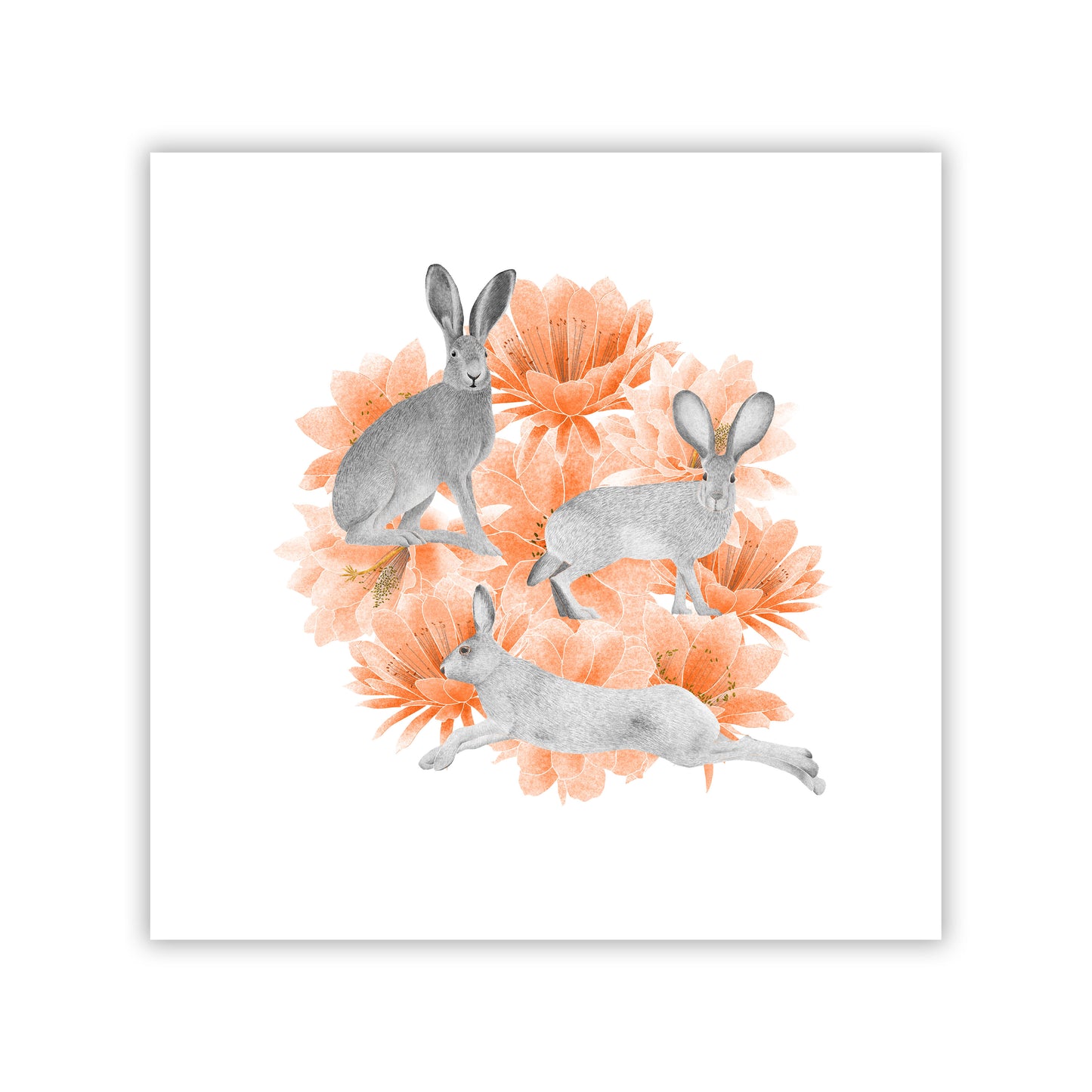 Desert Jackrabbit Fine Art Giclee Print