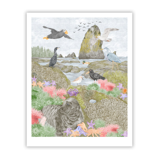 Salish Sea Tide Pools Fine Art Giclee Print