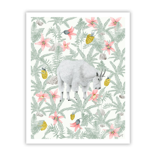 Olympic Mountaint Goat Fine Art Giclee Print