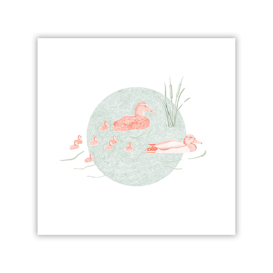 Duck Pond II Fine Art Giclee Print