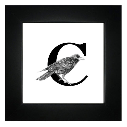 C is for Crow Framed Giclee Print