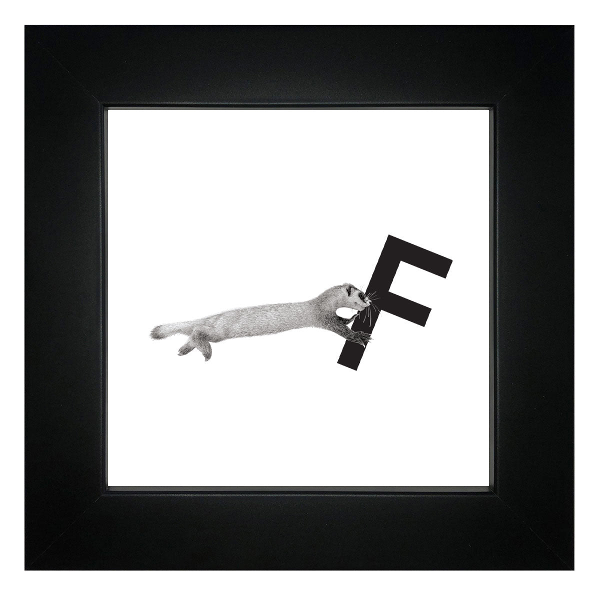 F is for Ferret Framed Giclee Print