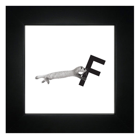 F is for Ferret Framed Giclee Print