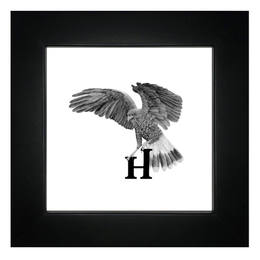 H is for Hawk Framed Giclee Print