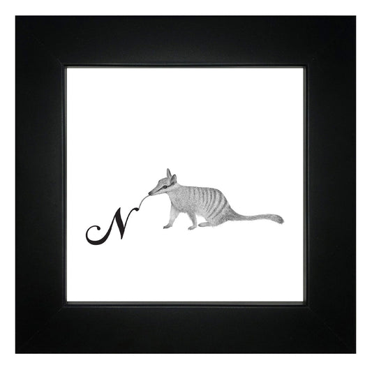 N is for Numbat Framed Giclee Print