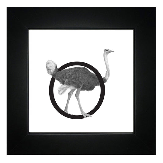 O is for Ostrich Framed Giclee Print
