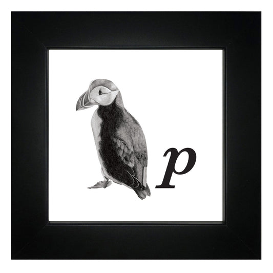 P is for Puffin Framed Giclee Print