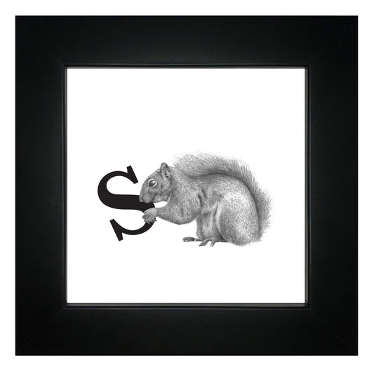 S is for Squirrel Framed Giclee Print