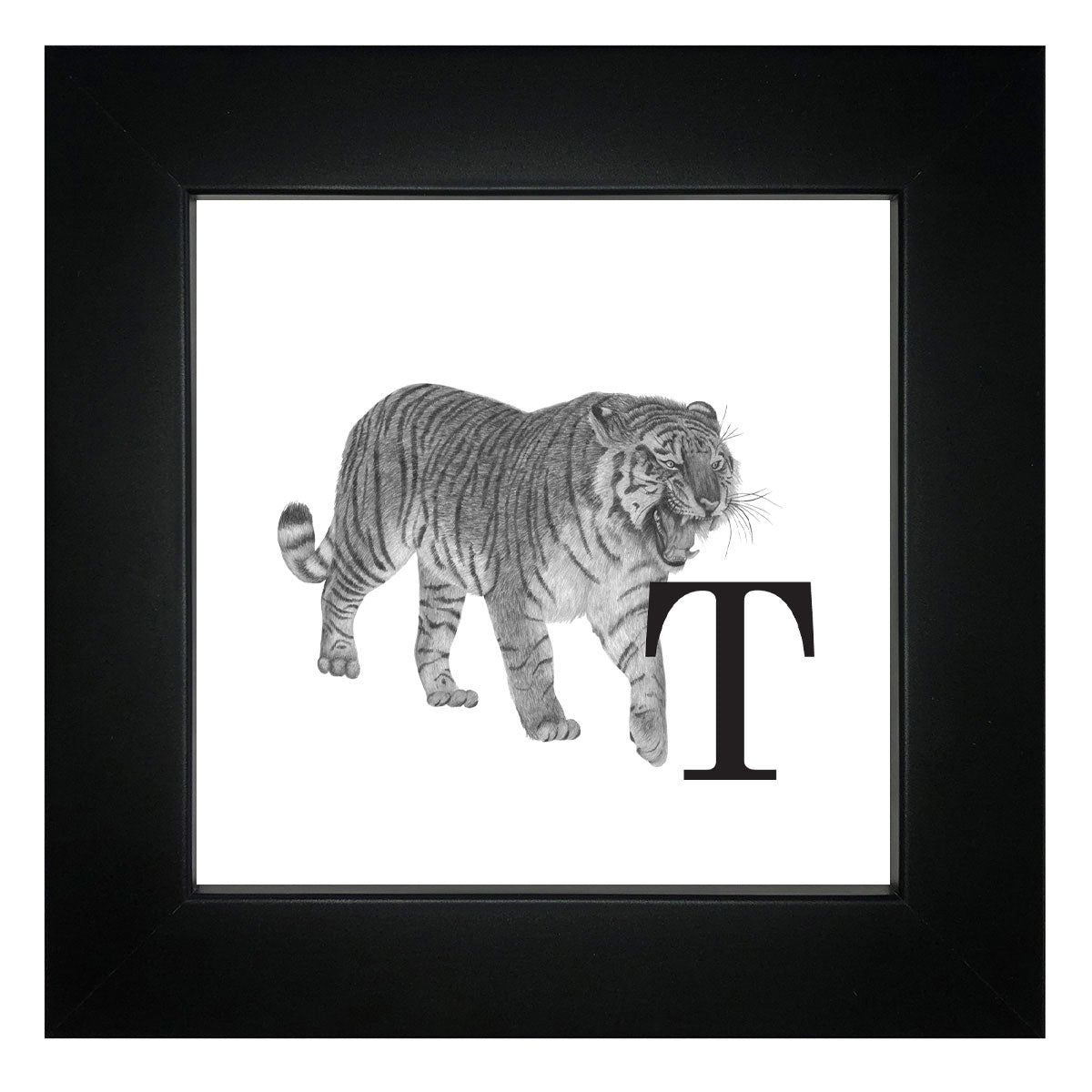 T is for Tiger Framed Giclee Print