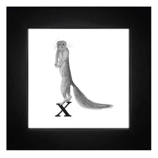 X is for Xerus Framed Giclee Print