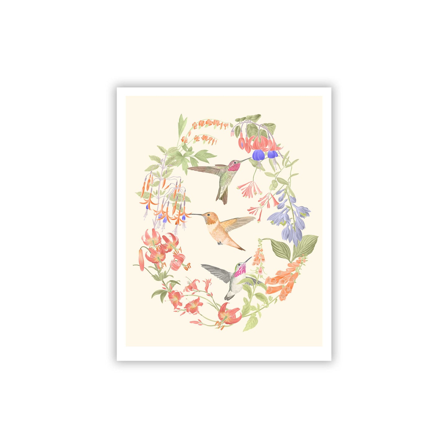Hummingbirds Fine Art Giclee Print