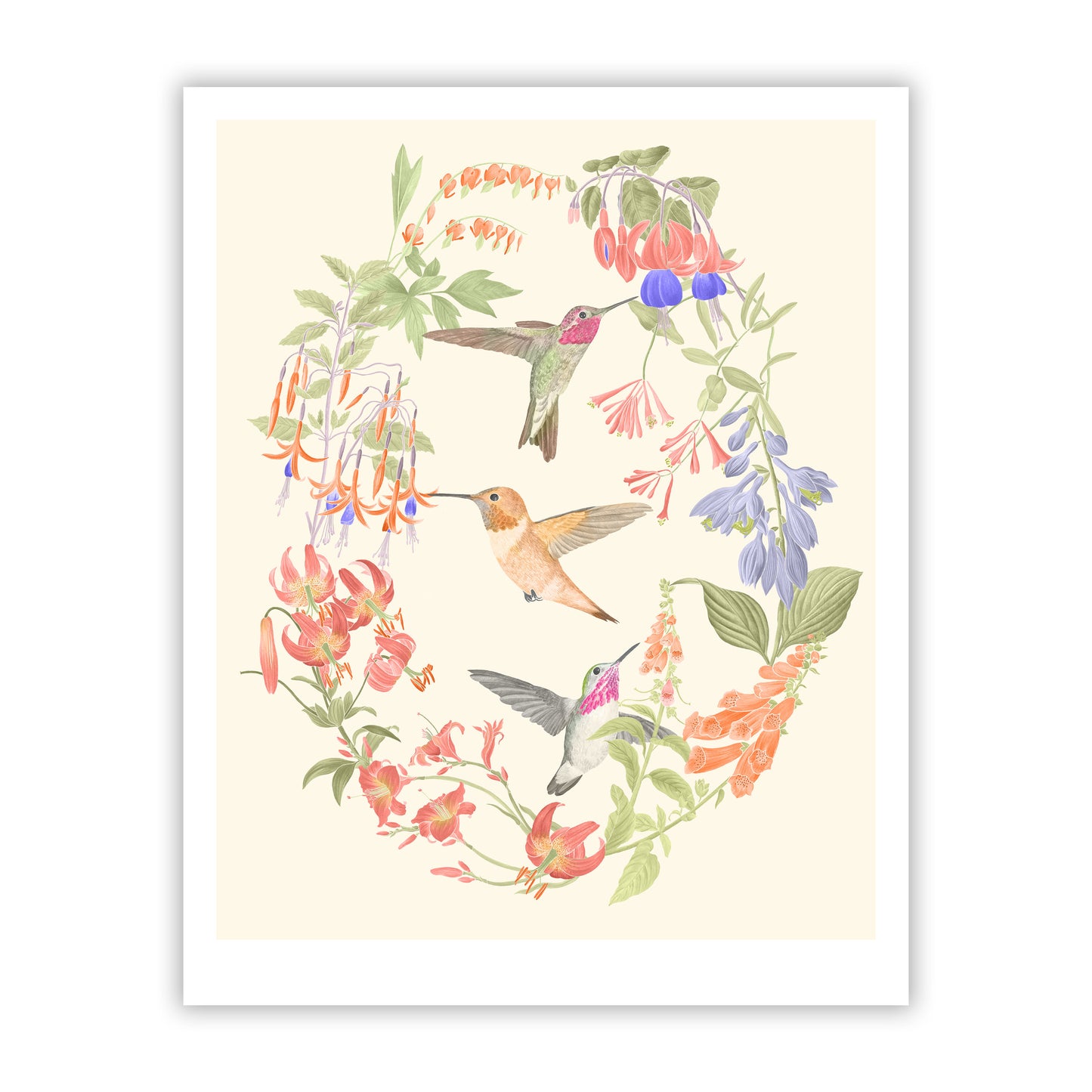 Hummingbirds Fine Art Giclee Print