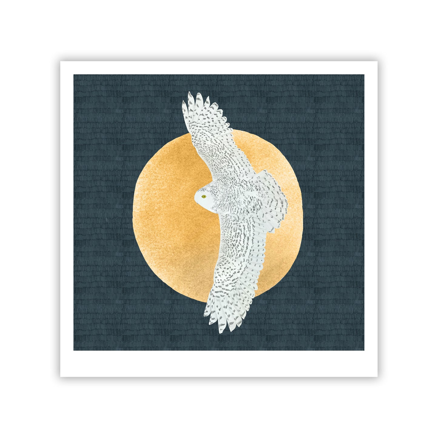 Snowy Owl Fine Art Giclee Print