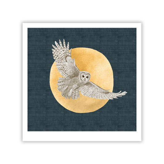 Northern Spotted Owl Fine Art Giclee Print