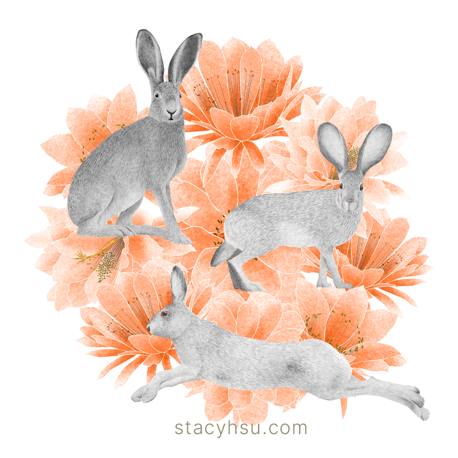 Desert Jackrabbits vinyl sticker