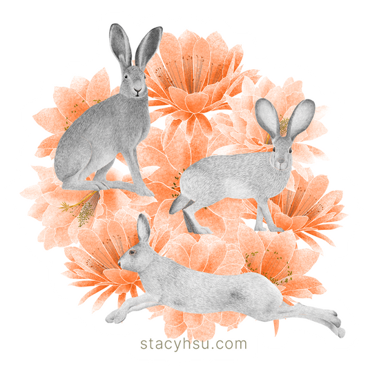 Desert Jackrabbits vinyl sticker