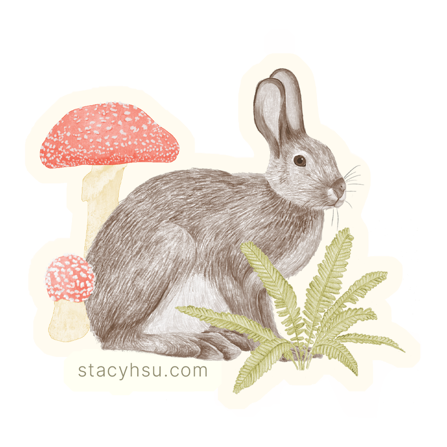 Snowshoe Hare vinyl sticker