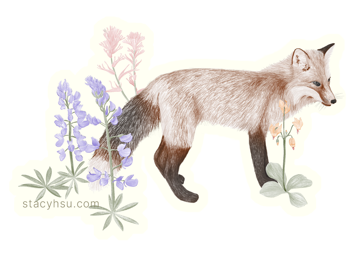 Red Fox vinyl sticker